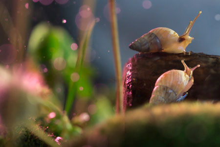 EPSON爱普生 L3115 3116 3117 3118 3119 3156 3158清零软件-小林博客