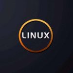 linux系统 查看网卡是100M还是1000M-小林博客