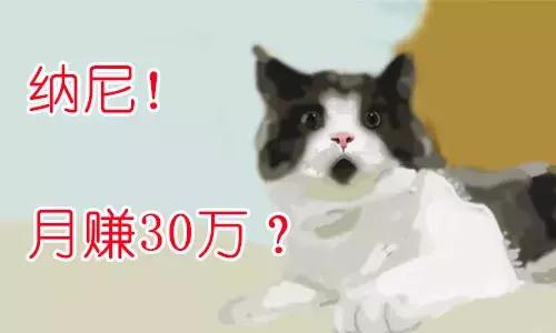 创业分享：个人站长SEO逆袭月赚30万-小林博客