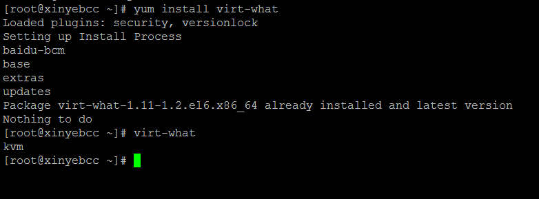 Linux系统查看VPS的虚拟架构-小林博客