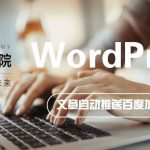 WordPress 纯代码发布文章自动推送百度加快收录-小林博客