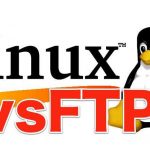 CentOS安装配置VSFTP服务器-小林博客