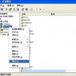 安装ISAPI_Rewrite伪静态软件-小林博客