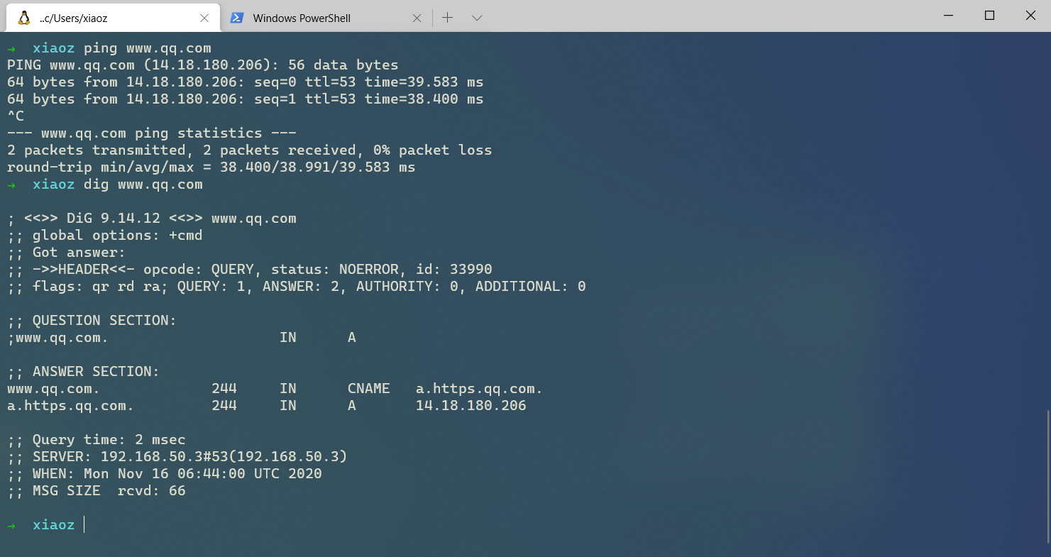 WindowsTerminal_IkwzD9MlqL-1 WindowsTerminal_IkwzD9MlqL-1