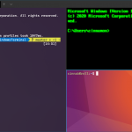 Windows Terminal + Alpine Linux + ZSH打造自己的高颜值终端-小林博客