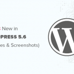 WordPress 5.6已发布，图文介绍新功能大全-小林博客