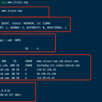 Linux安装dig命令工具和使用方法-小林博客