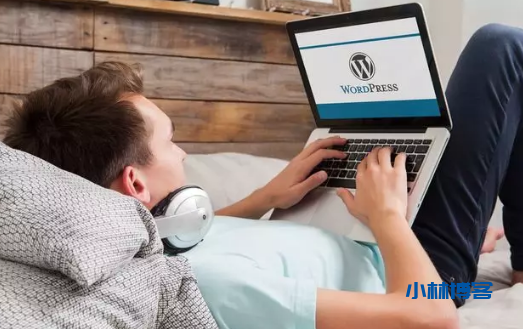 WordPress程序建站的理由有哪些？-小林博客