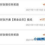 悬赏猫一天可以挣200么？有徒弟开了黑金会员！-小林博客