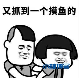 慢谈:网址是不是HTTPS 的,因为HTTPS 是加密的,别人就不知道了。 慢谈:网址是不是HTTPS 的,因为HTTPS 是加密的,别人就不知道了。