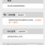 cloudns 提供免费域名，免费 DNS-小林博客