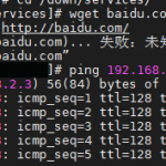 Linux无法访问外网问题-小林博客