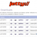Linux下安装jetty服务器-小林博客
