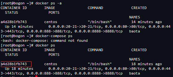 自动草稿 自动草稿