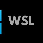 WSL与Windows跨系统的魔法：让开发效率飞起来-小林博客